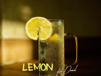 Kizz Daniel - Lemon Chase Ep