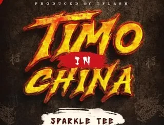 Sparkle Tee – Timo In China