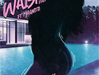 2slik – Waist (Remix) Ft. Magnito