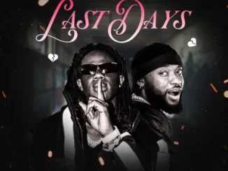 Kellylivinglarge – Last Days Ft. Dremo